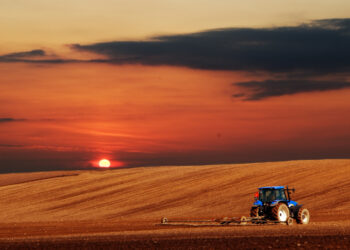 Produzir bem não é suficiente se você paga mal o imposto